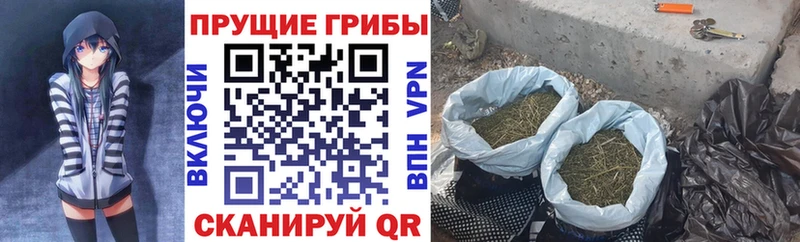 Псилоцибиновые грибы GOLDEN TEACHER купить наркоту МЕГА ссылка Заполярный